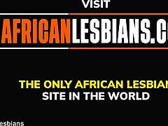 Afrikansk skönhet blir slickad och fingrad i hemgjord video