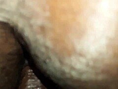 Close-up dari pantat berbulu wanita gemuk yang diisi dengan ayam hitam besar